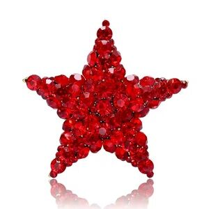 Royal Star Red Crystal Brooch